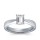 The Great 1884 - 1,00 ct Diamantring in Weissgold