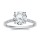 The Queen Diamond - 2,50 ct Zentraldiamant + 0,42 ct Seitensteine Diamantring in Weissgold