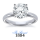 The Great 1884 - 3,00 ct Diamantring in Weissgold