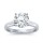 The Great 1884 - 3,00 ct Diamantring in Weissgold