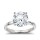The Great 1884 - 4,00 ct Diamantring in Weissgold