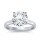 The Great 1884 - 4,00 ct Diamantring in Weissgold