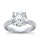 The Great 1884 - 4,00 ct Diamantring in Weissgold