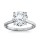 The Great 1884 - 4,00 ct Diamantring in Weissgold