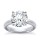 The Great 1884 - 5,00 ct Diamantring in Weissgold